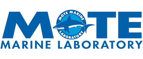 mote marine laboratory